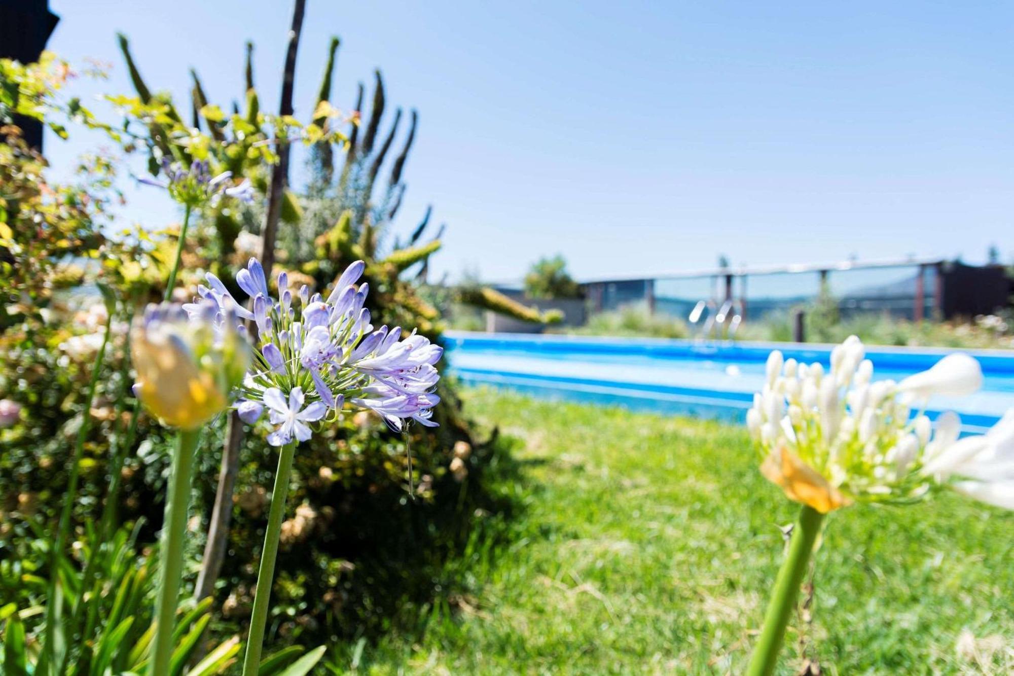 Park Inn By Radisson Los Olivos De バジェナール エクステリア 写真