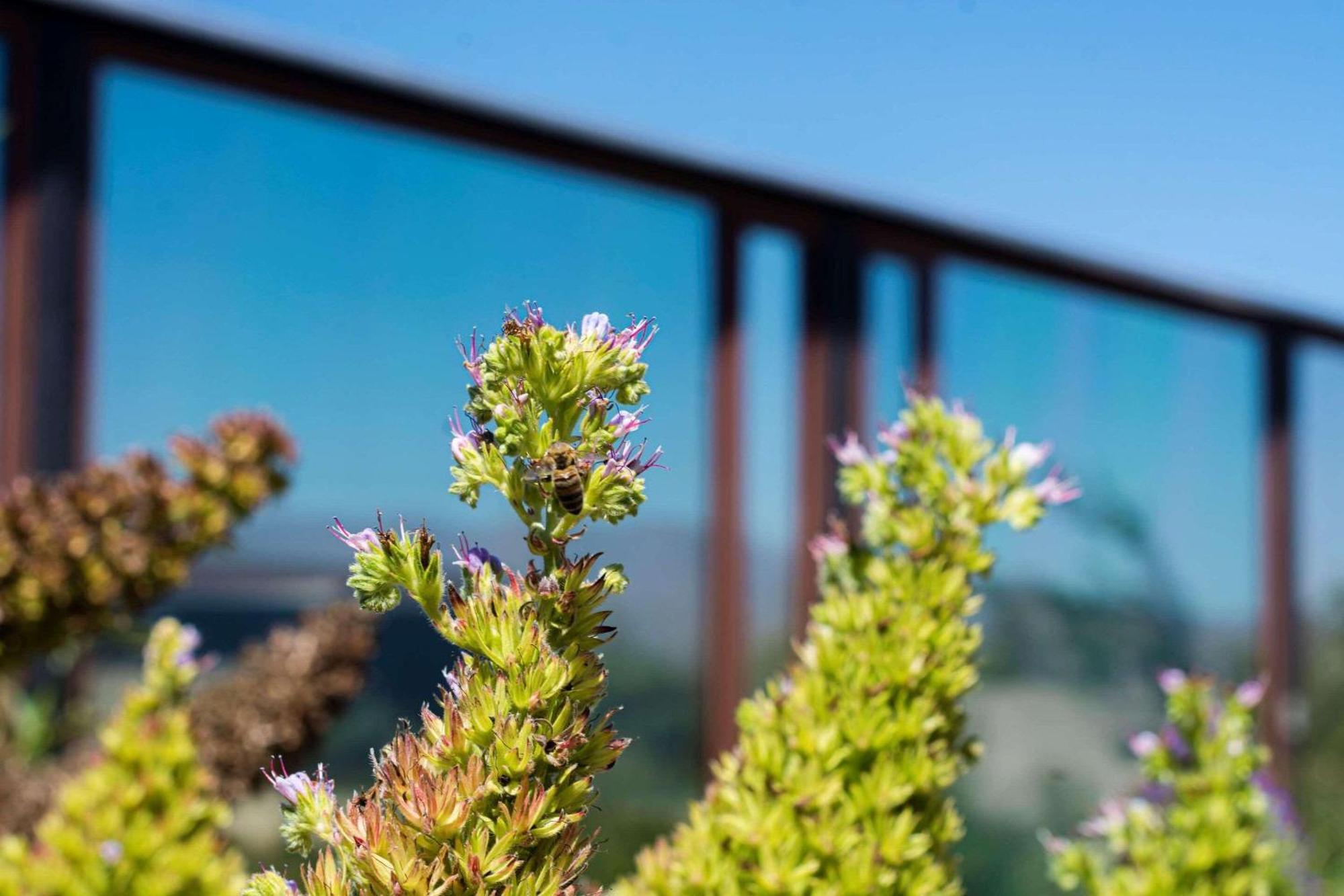 Park Inn By Radisson Los Olivos De バジェナール エクステリア 写真